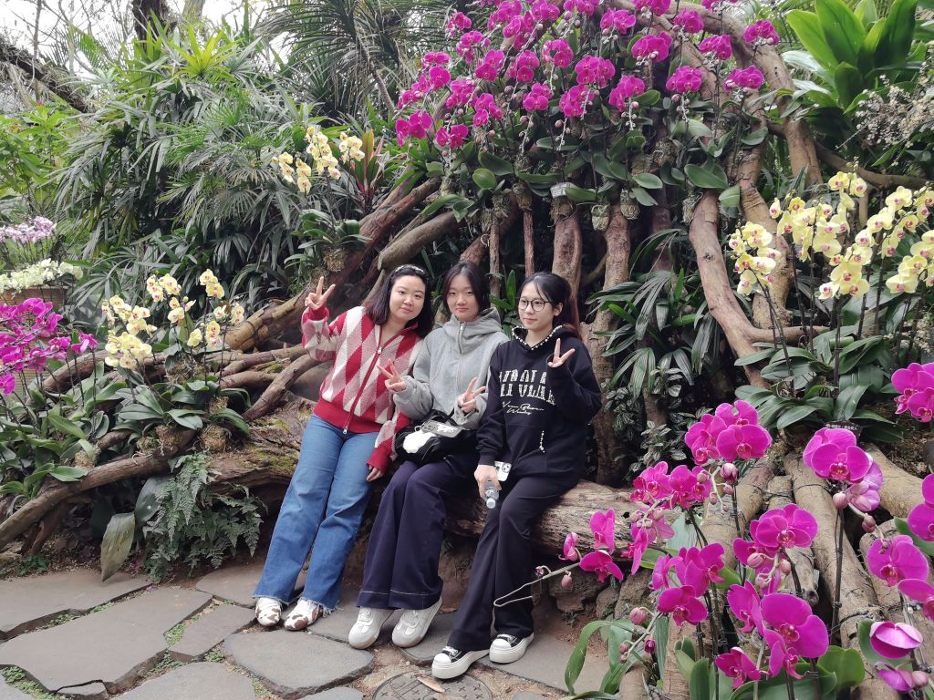 年轻就像花一样,赏心悦目,即将展开,蓬勃怒放。