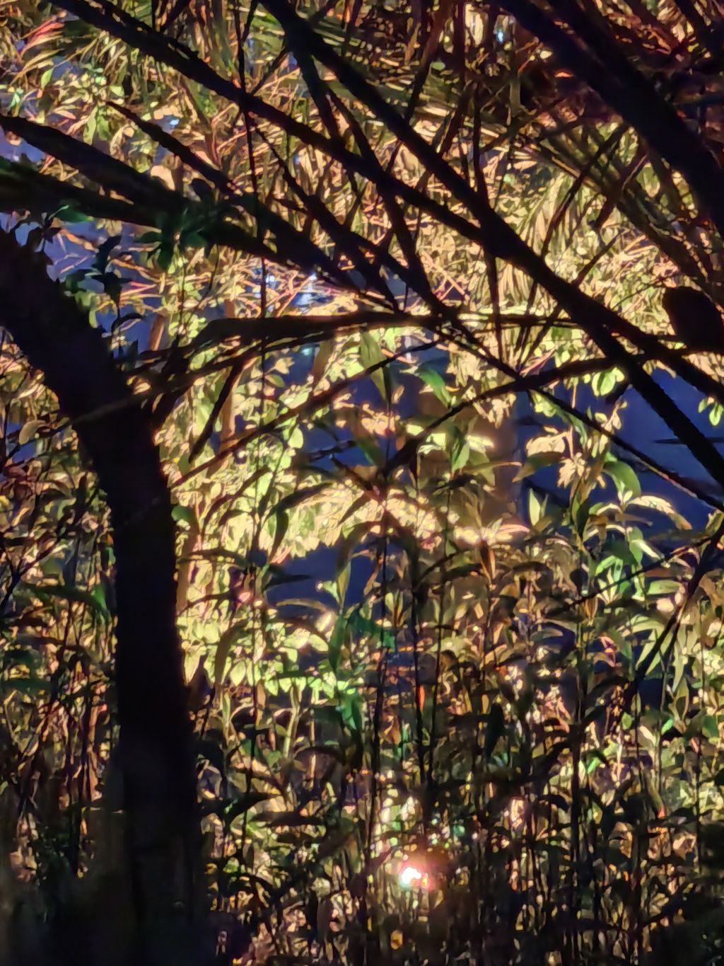 光影交织，无限美好。