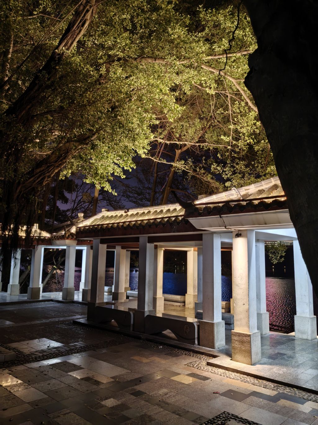 宁静柔和，散发着光。